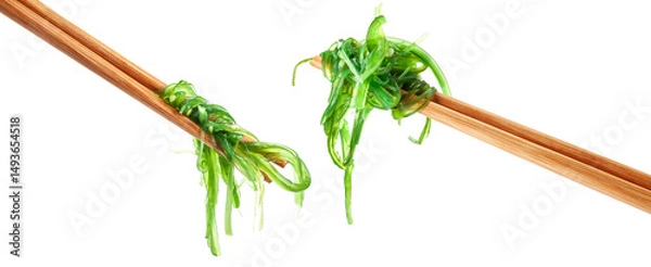 Fototapeta Chopsticks holding Japanese seaweed salad. Japanese cuisine - Wakame salad, Chuka seaweed salad isolated on a white background.
