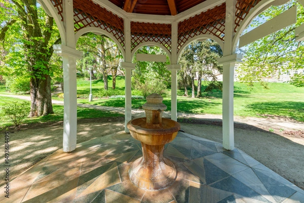 Fototapeta Pavilion of mineral water spring Alexandra - small spa town Marianske Lazne (Marienbad) in west part of Czech Republic - region Karlovy Vary	