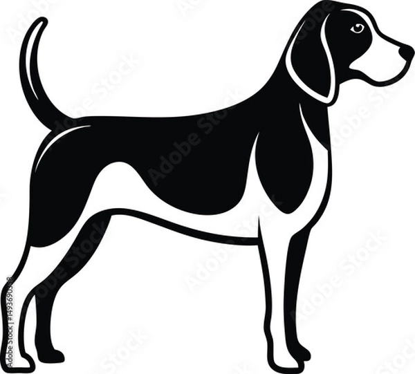 Obraz Beagle dog silhouette, beagle dog illustration