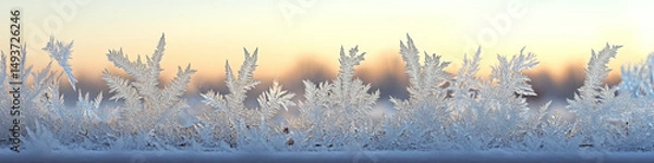 Fototapeta Frost patterns form intricate designs on a window during sunrise. Concept of winter beauty and nature's art. For winter-themed decoration.