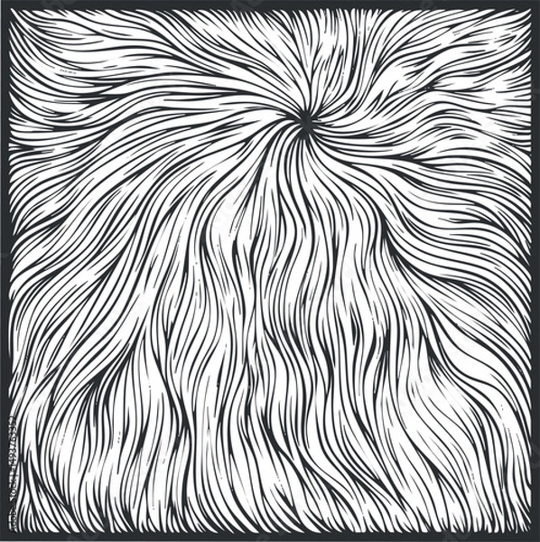 Obraz Abstract black and white swirling line pattern creating a dynamic flowing texture background