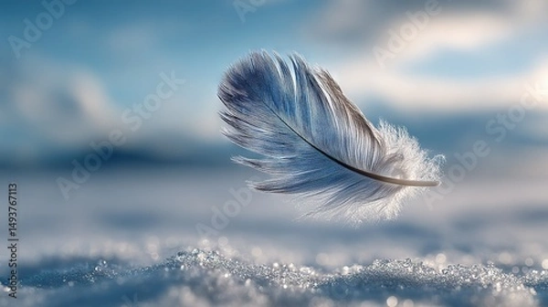Fototapeta   Feather flying against blue sky and white clouds, snow on ground