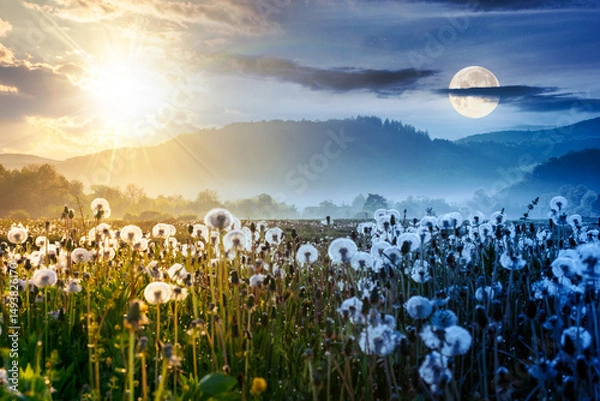 Fototapeta mountainous rural landscape with dandelion meadow in spring. day and night time change concept. backlit foggy scenery in the green valley of perechyn district with sun and moon at twilight