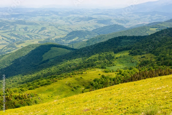 Fototapeta beautiful view in to the valley from the mountain top. forested hillside of watershed ridge in dappled light. sunny weather in summer