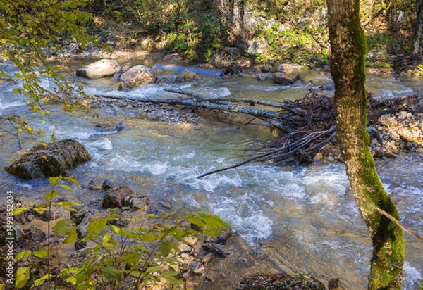 Obraz autumn hike to the sources of a mountain river along the riverbed and canyon through difficult wilderness areas