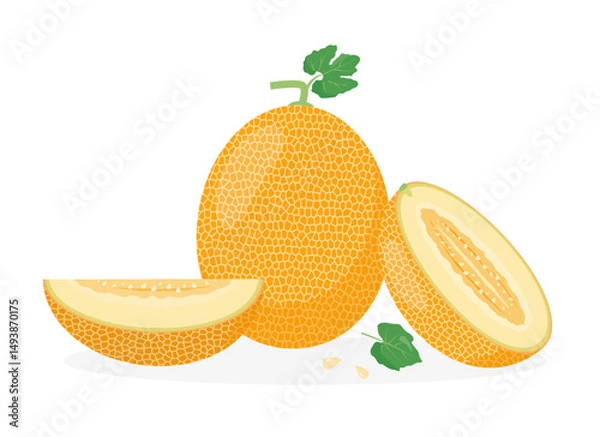 Fototapeta Fresh yellow Melon fruit and pieces. Organic melons for juice, smoothie or vitamin healthy food. Vector icon illustration isolated on white background.