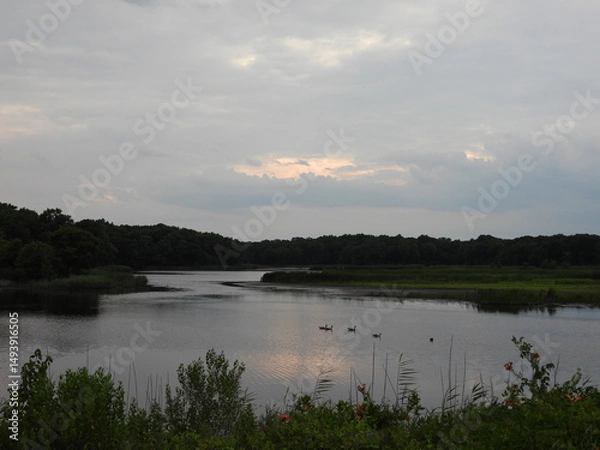 Obraz Beautiful evening scenery of the wetlands within the Bombay Hook National Wildlife Refuge, Kent County, Delaware. 