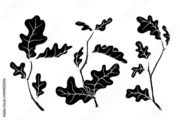 Fototapeta Set of silhouettes, stamps of autumn oak tree branches. Vector graphics.