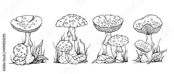 Fototapeta Set of sketches of autumn compositions of fly agaric mushrooms, dry leaves, forest grass. Vector graphics.