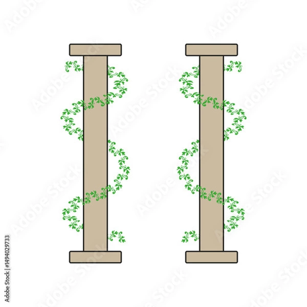 Fototapeta Stone pillar structure. Climbing vine detail. Vertical green plant. Vector column design