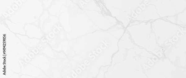 Obraz Subtle grey veining in pristine white marble, creating a luxurious, minimalist texture, design, material