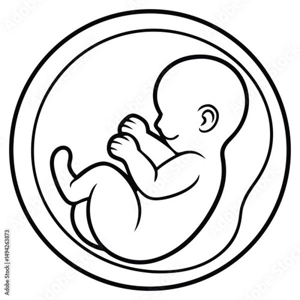 Fototapeta Simple Outline Drawing of a Baby in Utero Prenatal Development Concept