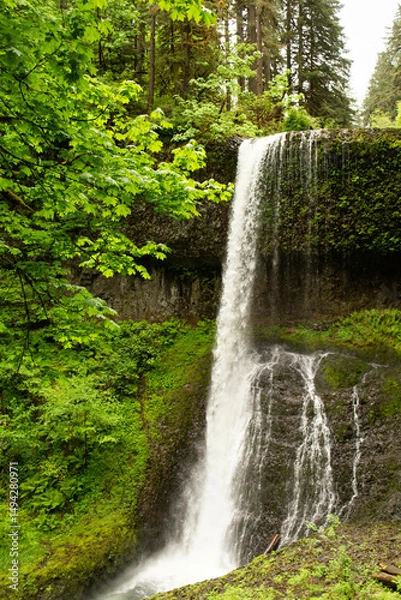 Obraz waterfall in the forest