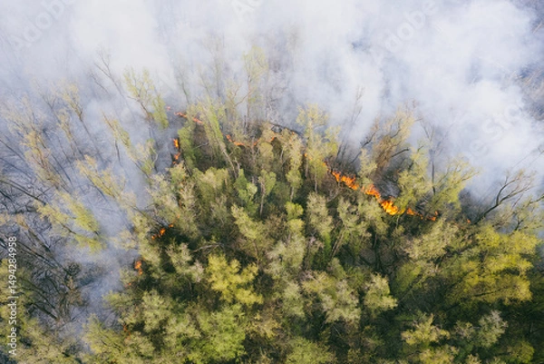Fototapeta concept of forest fires. Burning forest top view aerial view. White smoke is coming from the forest. natural disaster