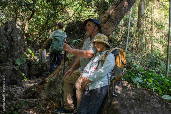 Fototapeta Older trekking adventure carries backpacks poles enjoying nature expression looks into the distance observing and possibly guide trekking and trail ecotourism adventure concept.