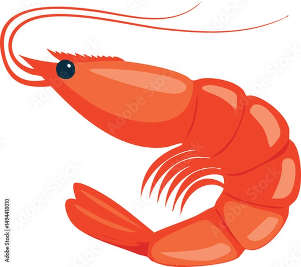 Obraz vector illustration of shrimp