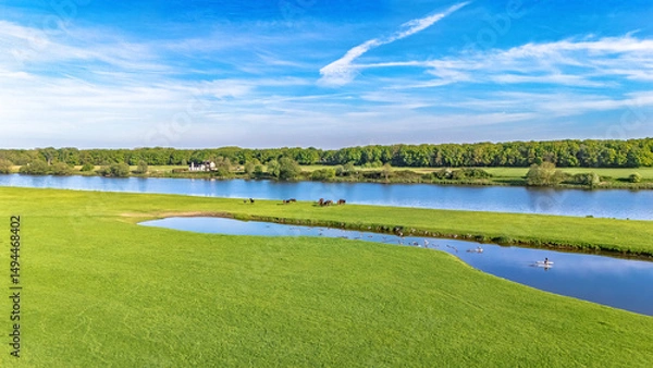 Fototapeta Aerial drone view of typical Dutch countryside landscape with green meadow, horses and waterfowls, peaceful rural landscape with river Meuse in spring, the Netherlands