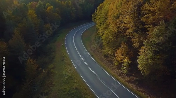 Fototapeta Autumnal road through lush forest with vibrant foliage and winding path for scenic adventure and peaceful nature escape aerial view concept.