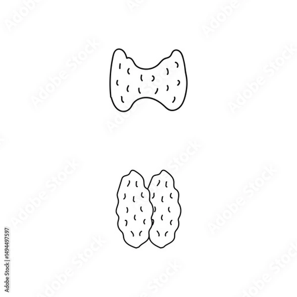 Fototapeta Human Internal Organs Icon Set