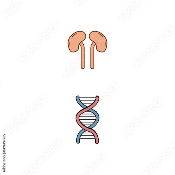 Fototapeta Human Internal Organs Icon Set