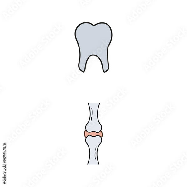 Fototapeta Human Internal Organs Icon Set