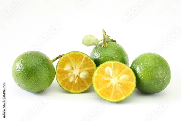 Obraz Calamansi - 4 Pieces
