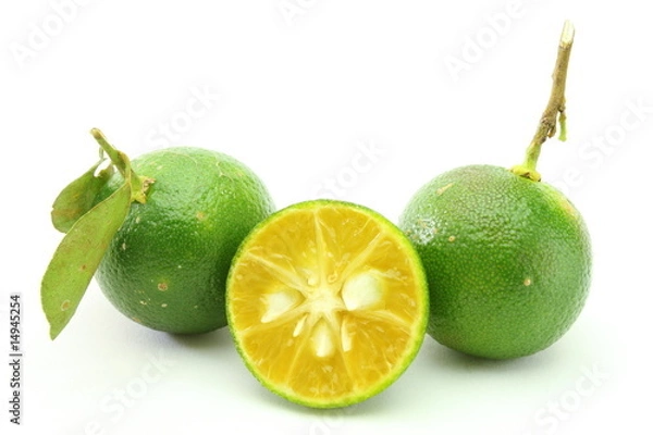 Obraz Calamansi - 2,5 sztuki