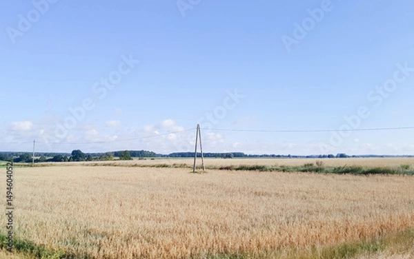 Obraz Kashubian field in late summer.