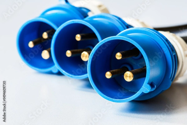 Obraz Set of AC power plug connectors, close-up view