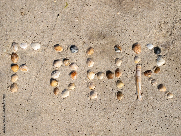 Obraz Name of Island Föhr formed with mussels on the sand