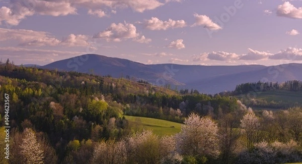 Obraz Kwitnące drzewa w Beskidach