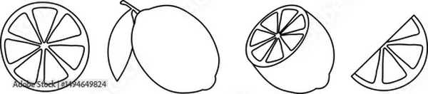 Obraz Vibrant Citrus Fruit Collection Vector Illustration