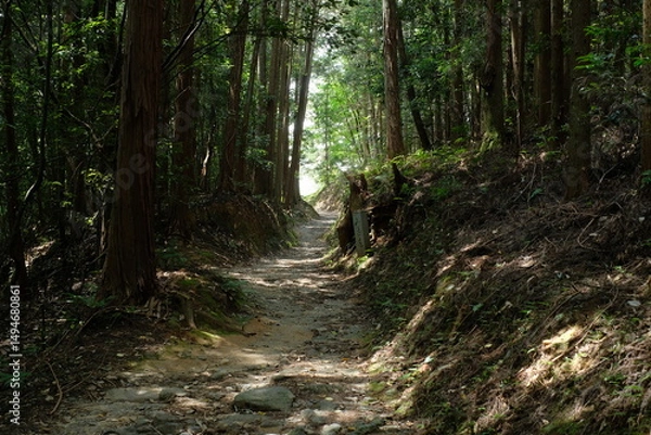 Obraz The Yamanobe trail from Omiwa Shrine to Hibara Shrine