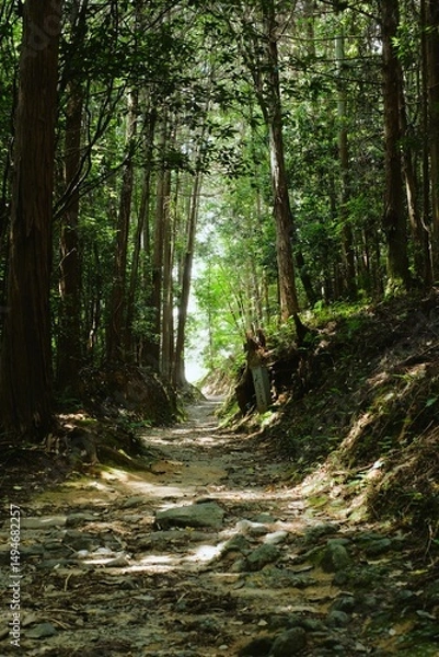 Obraz The Yamanobe trail from Omiwa Shrine to Hibara Shrine