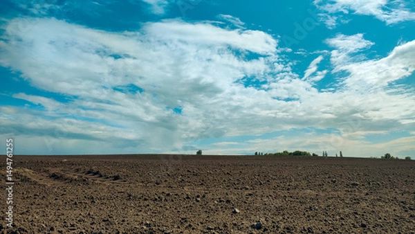 Obraz Sowing on agricultural field in spring. A plowed sown field in spring