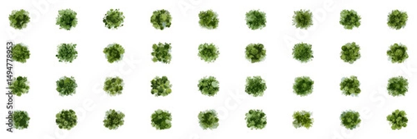 Obraz Architectural Elements Featuring Watercolor Bushes from Above. Green Planning Assets for Eco Landscaping and Urban Park Layouts. Isolated Vector Illustration