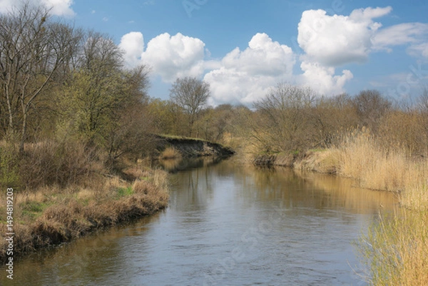 Obraz river in spring forest