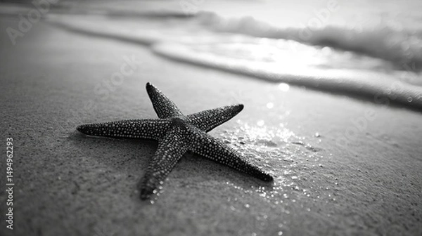 Obraz starfish on the sand