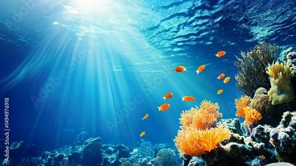 Obraz coral reef and fishes