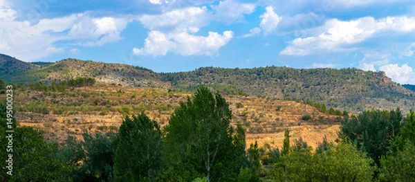 Fototapeta Beautiful mountain panorama with trees in the foreground and a few ancient "bancales" terraced fields in the distance. Rural scene in Rincón de Ademuz, Spain