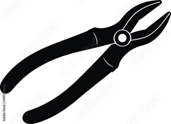 Obraz pliers isolated on white background