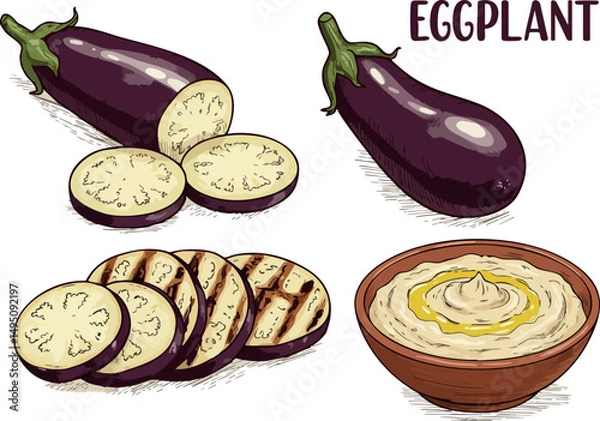 Fototapeta Eggplant vegetable with slices and bowl of dip vector illustration natural food ingredients 