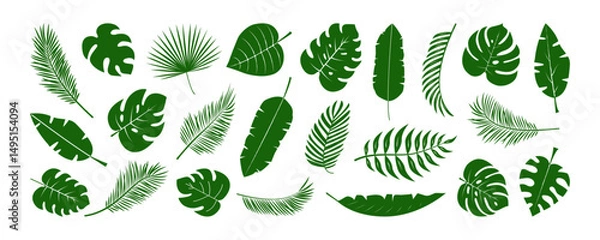 Fototapeta Palm leaf icon, tropic plant, cartoon jungle, green exotic coconut leaves, summer banana fern. Rainforest paradise foliage silhouette. Hawaii floral pattern isolated on white bg. Vector illustration