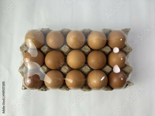 Fototapeta Fresh Brown Eggs on Cardboard Tray