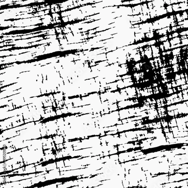 Obraz grunge texture vector illustration design 