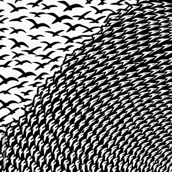 Fototapeta abstract schools of birds vector illustration design 