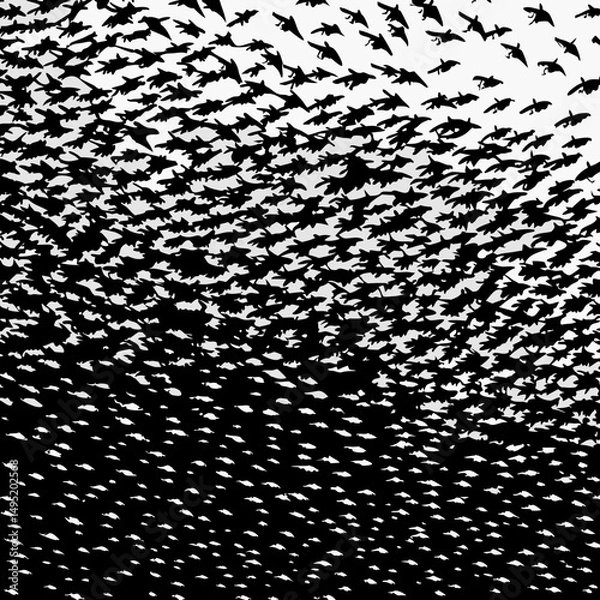 Fototapeta abstract schools of birds vector illustration design 