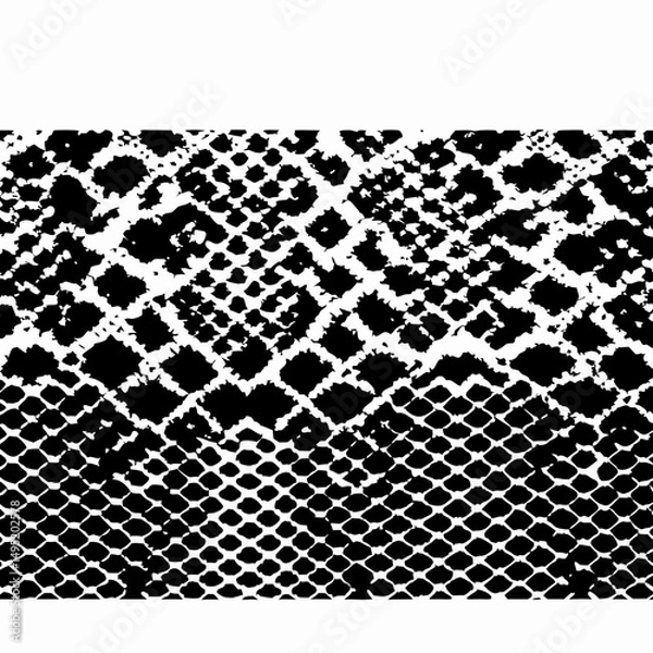 Fototapeta snake texture vector illustration design 
