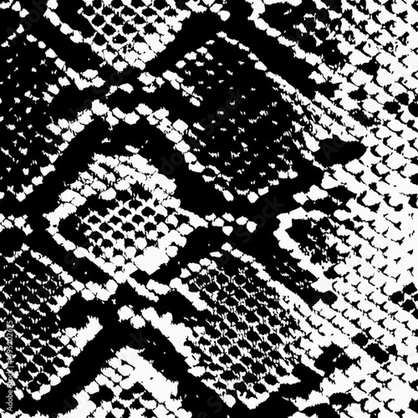 Obraz snake texture vector illustration design 