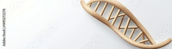 Fototapeta Wooden DNA Model on White, science , genetics